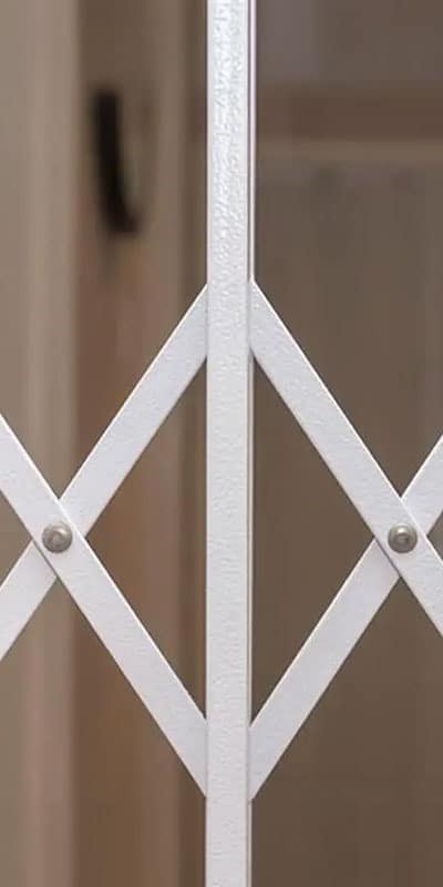 retractable security gates