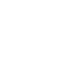 View Protect armed monitoring system icon